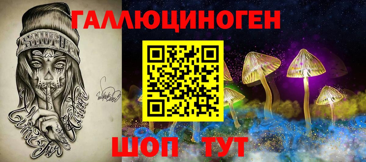 Юрга  Псилоцибиновые грибы мицелий  Вход с VPN  Псилоцибиновые грибы мицелий 